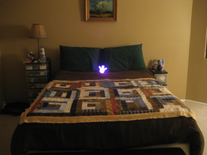 TykeLight alone on the bed