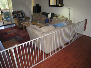Gated living room from the outside