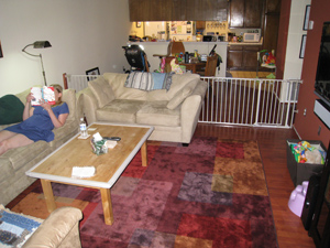 Gated living room from the inside
