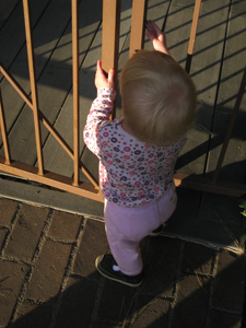 Playing with the gate, all nice and clean