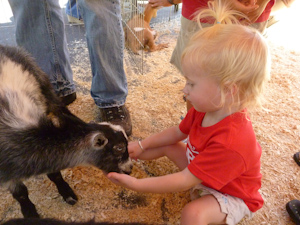Adria gently petting the little goat Adria gently petting the little goat