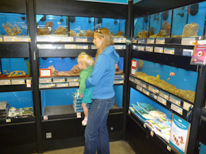 Adria and Amanda looking at the fish Adria and Amanda looking at the fish