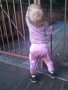 Back to the gate...and puddle aftermath
