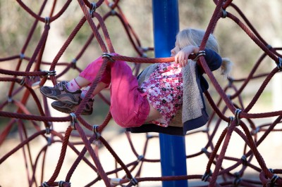 Adria the spider, hanging in the web