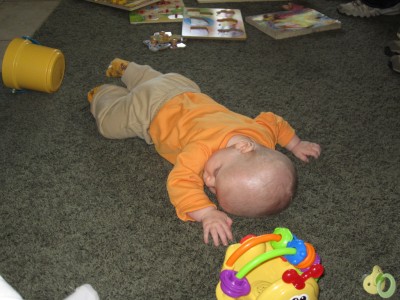 Austin taking a break on the carpet