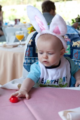 Easter bunny Austin