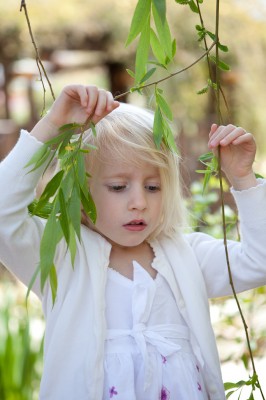 Adria, maiden of the weeping willows